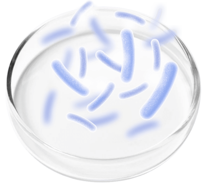 Probiotic Blend